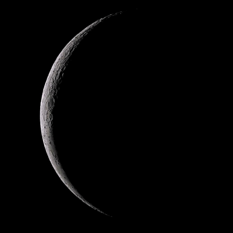 月齢26.8(2019.2.2)