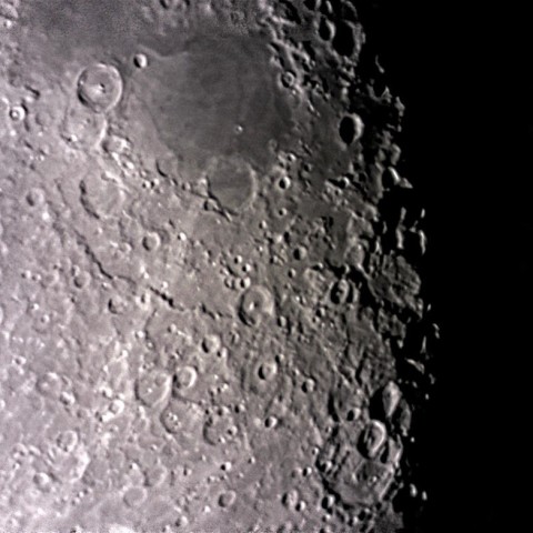 月齢18.1(2019.3.25)