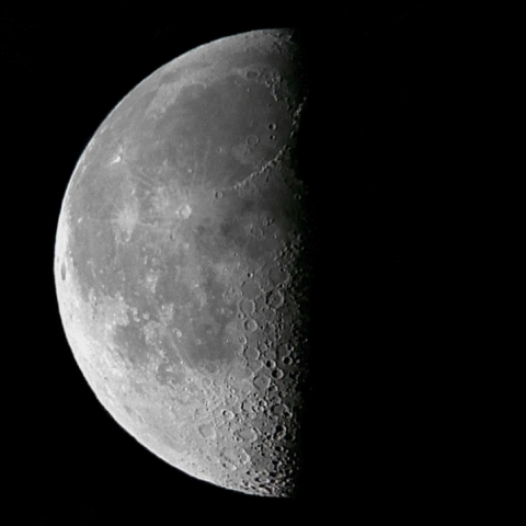 月齢21.1(2019.3.28)