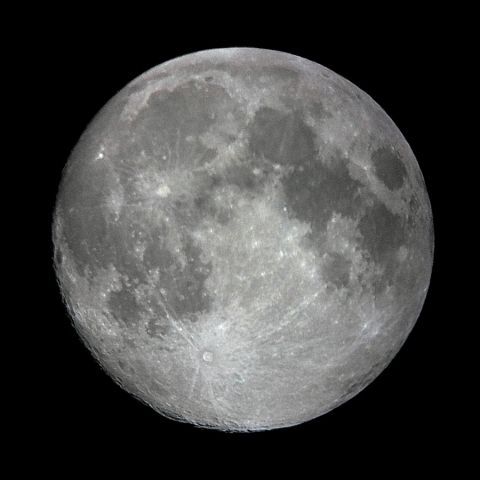 月齢13.2(2019.4.18)