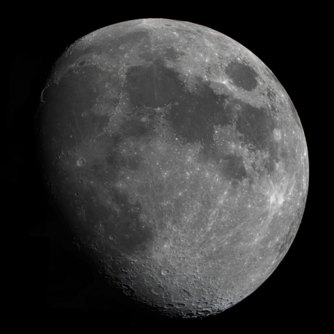 月齢10.0(2019.6.13)