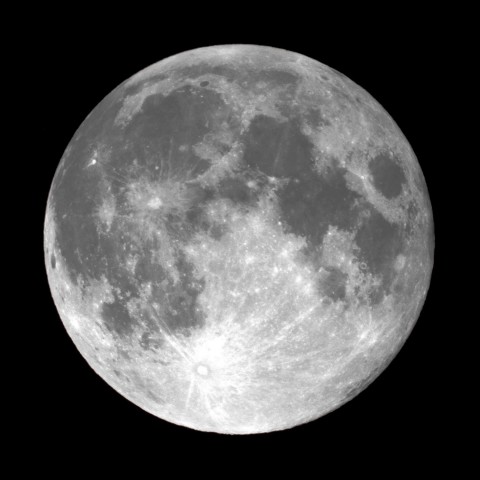 月齢14.1(2019.6.17)