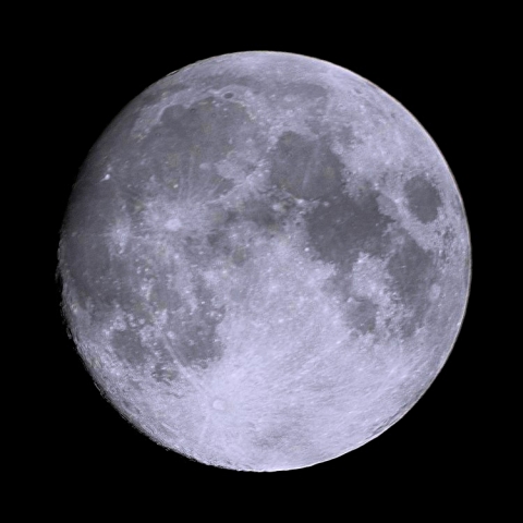 月齢12.8(2019.7.17)