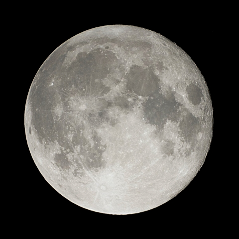 月齢14.8(2019.7.17)