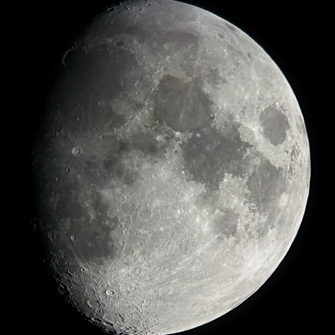 月齢10.7(2019.10.9)