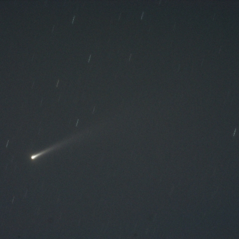 11月15日(土) の C/2025 K1 ATLUS