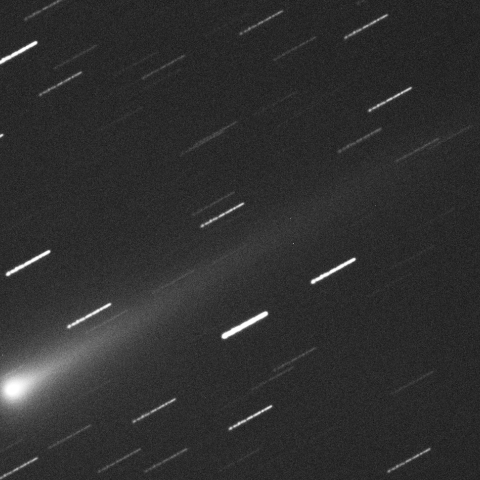 11/1未明のISON彗星