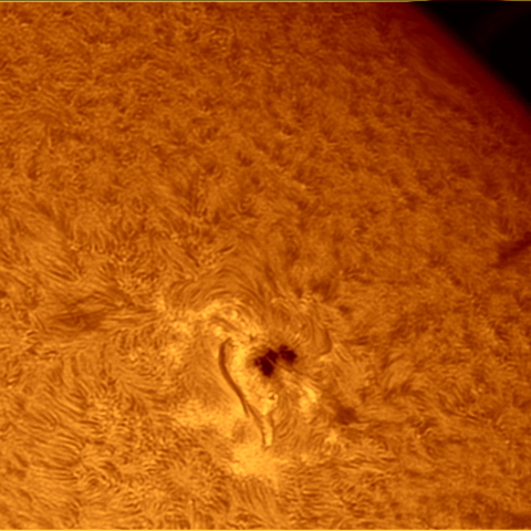 太陽面活動領域