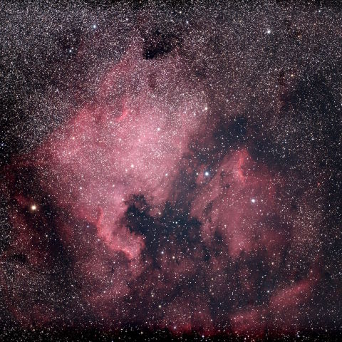 NGC7000 北アメリカ星雲