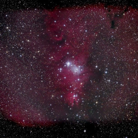 NGC2264 コーン星雲 クリスマスツリー星団