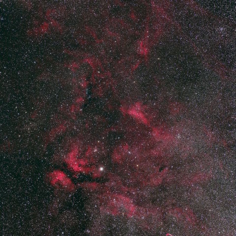 はくちょう座γサドル付近