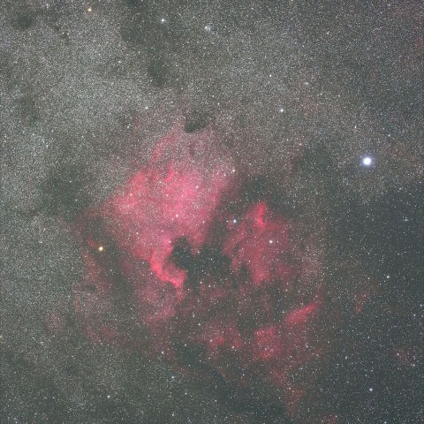 NGC7000 北アメリカ星雲