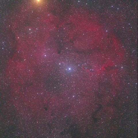 IC1396とガーネットスター