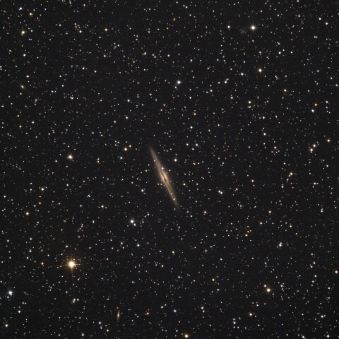 NGC891