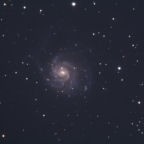 M101 回転花火銀河
