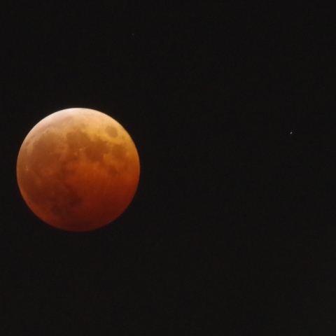 皆既月食 with 天王星