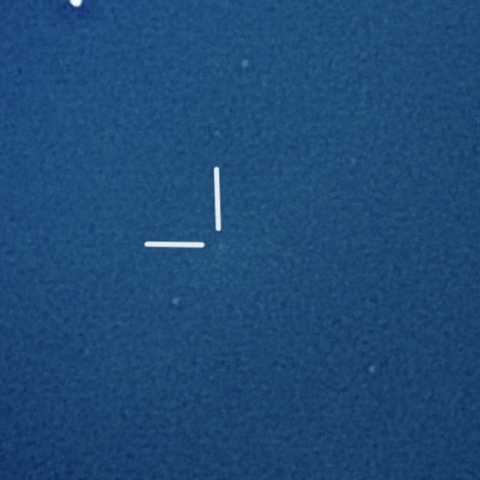 220P（McNaught）2026.6.16