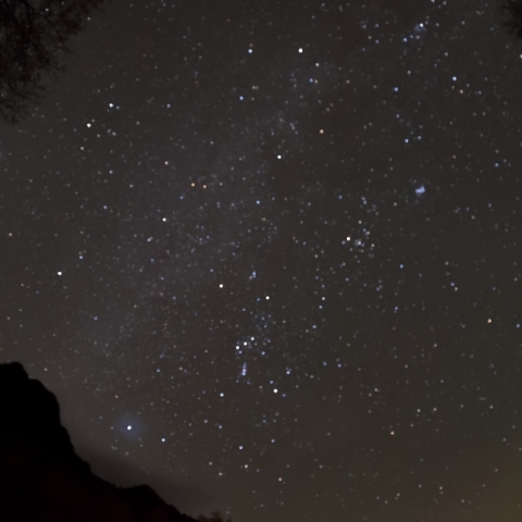 晩秋のオリオン座