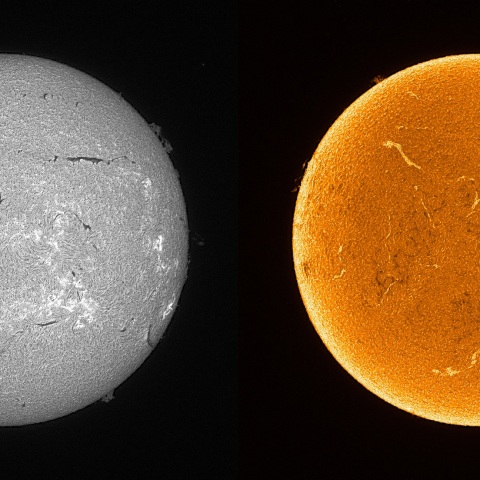Sun in H-alpha on July 8, 2025
