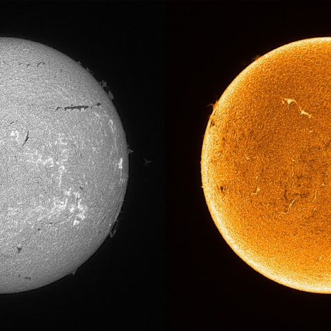 Sun in H-alpha on July 9, 2025