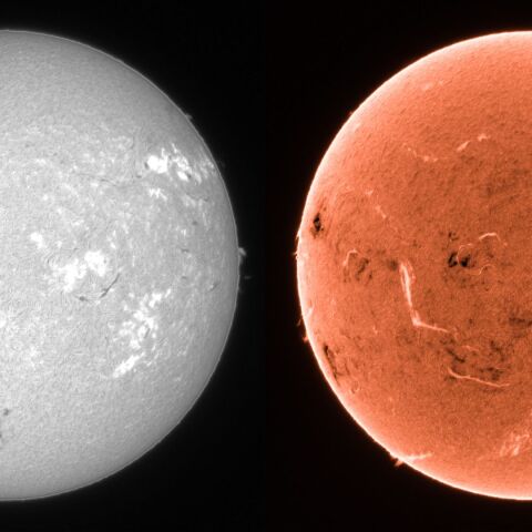 Sun in H-alpha on July 20, 2025