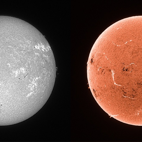 Sun in H-alpha on July 20, 2025