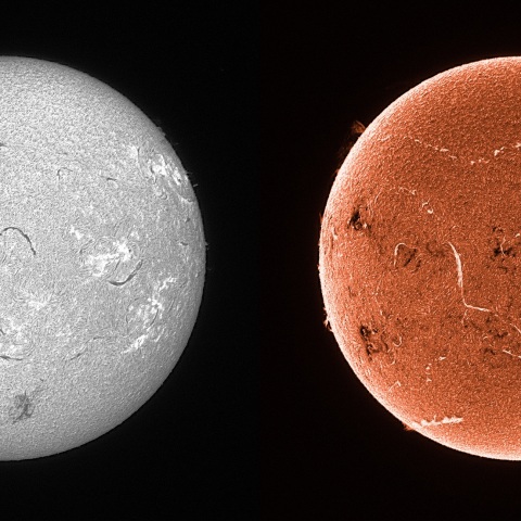 Sun in H-alpha on July 21, 2025