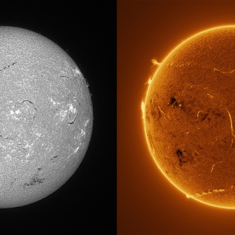 Sun in H-alpha on July 22, 2025