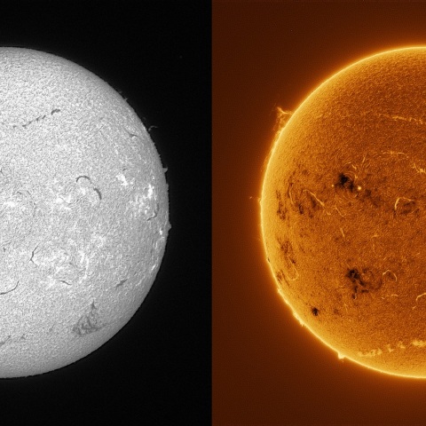 Sun in H-alpha on July 23, 2025