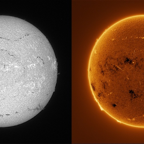 Sun in H-alpha on July 24, 2025