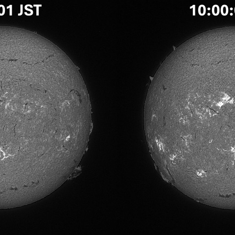 Sun in H-alpha on July 25, 2025