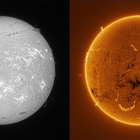 Sun in H-alpha on July 29, 2025