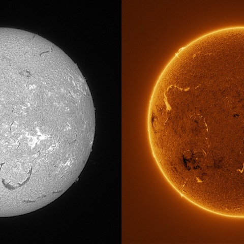 Sun in H-alpha on July 31, 2025