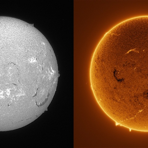 Sun in H-alpha on August 3, 2025