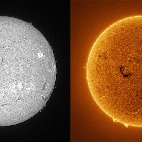 Sun in H-alpha on August 4, 2025
