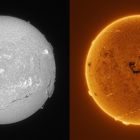 Sun in H-alpha on August 5, 2025