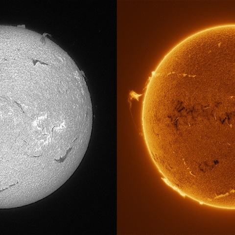 Sun in H-alpha on August 19, 2025