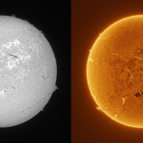 Sun in H-alpha on September 8, 2025