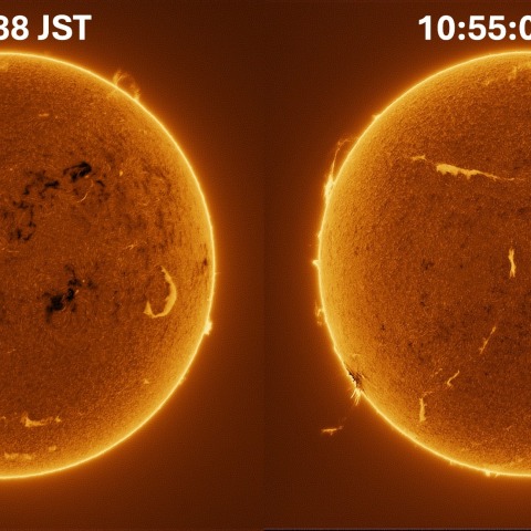 Sun in H-alpha on November 29, 2025