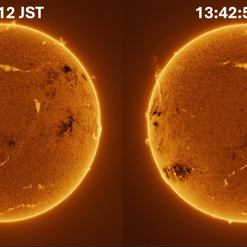 Sun in H-alpha on December 1, 2025