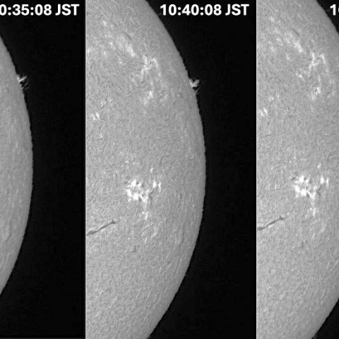 Sun in H-alpha on December 28, 2025