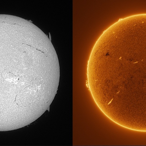 Sun in H-alpha on January 12, 2026