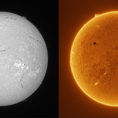 Sun in H-alpha on January 13, 2026