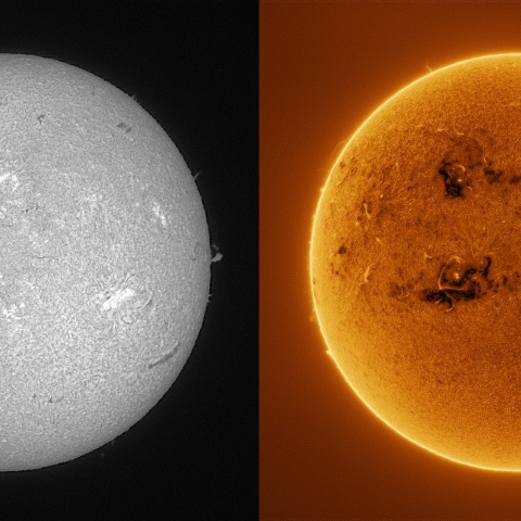 Sun in H-alpha on January 19, 2026
