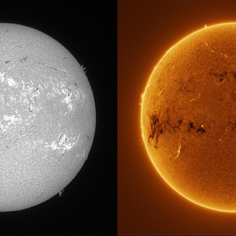 Sun in H-alpha on January 24, 2026