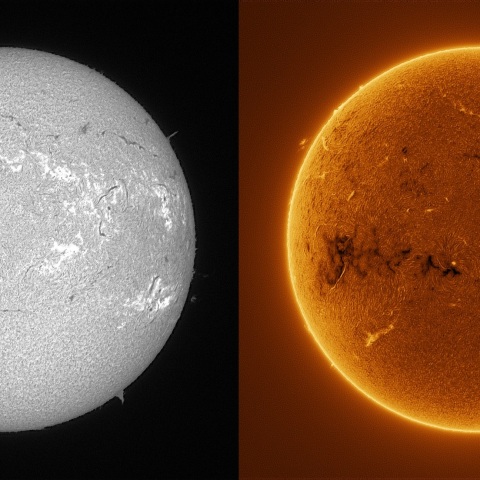 Sun in H-alpha on January 25, 2026