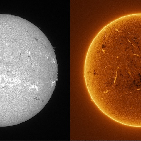 Sun in H-alpha on January 29, 2026