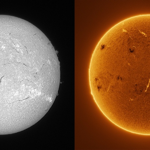 Sun in H-alpha on January 31, 2026