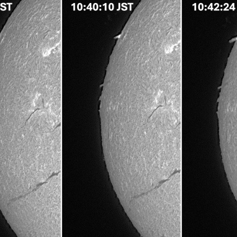 Sun in H-alpha on February 9, 2026