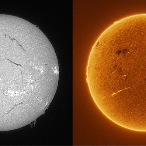 Sun in H-alpha on February 10, 2026